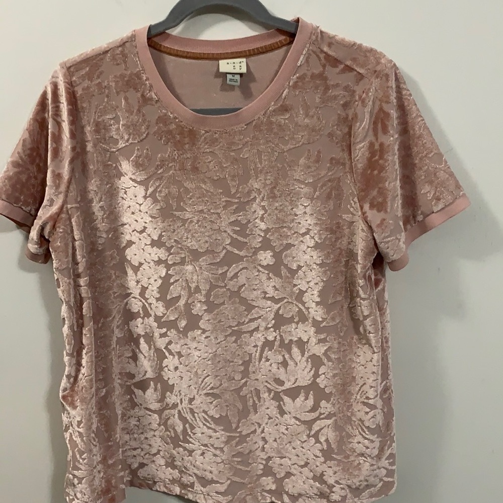 a new day Blush Pink Burnout Velvet Short Sleeve Top